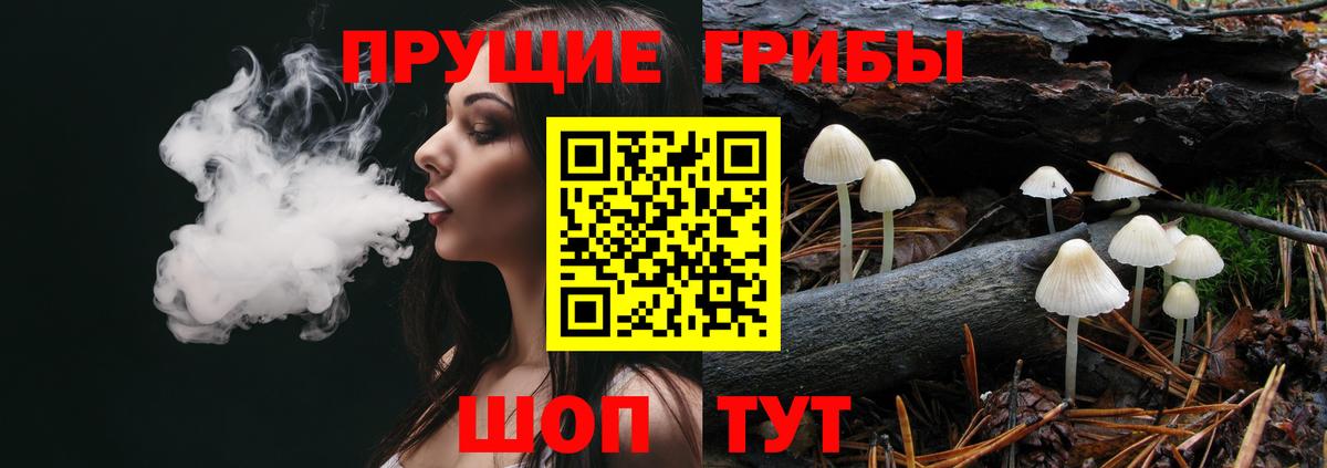 Галлюциногенные грибы Cubensis Сальск